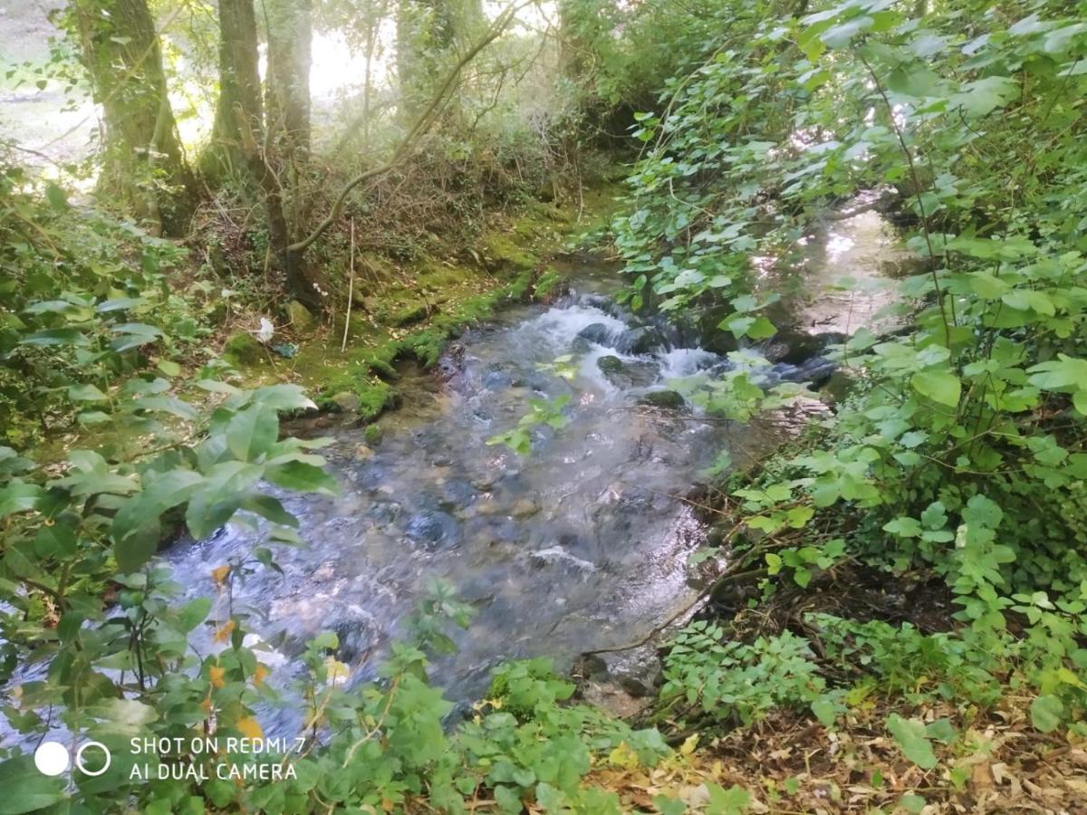 Alojamientos Sierra De Cadiz בנאמאהומה מראה חיצוני תמונה