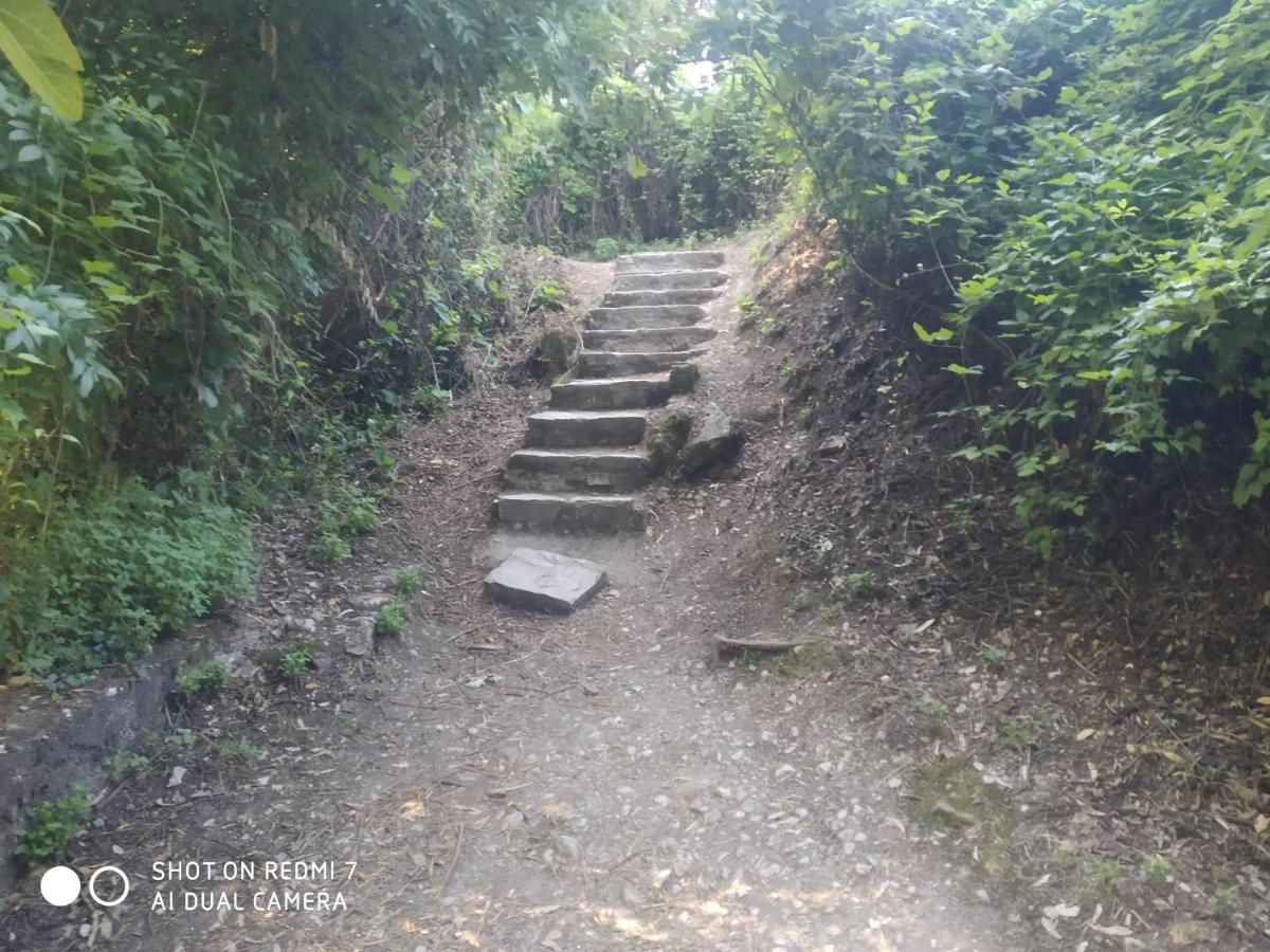 Alojamientos Sierra De Cadiz בנאמאהומה מראה חיצוני תמונה