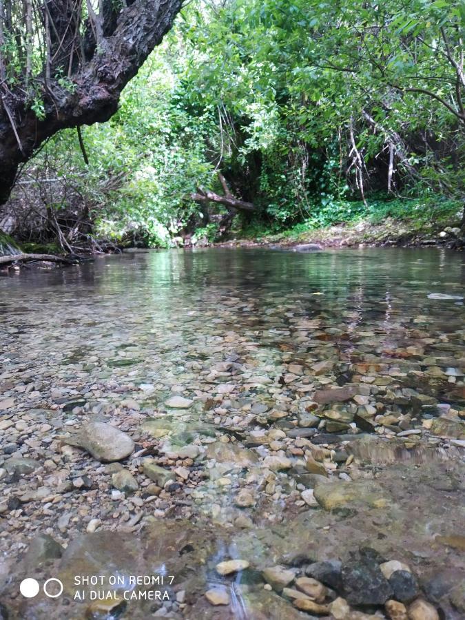 Alojamientos Sierra De Cadiz בנאמאהומה מראה חיצוני תמונה