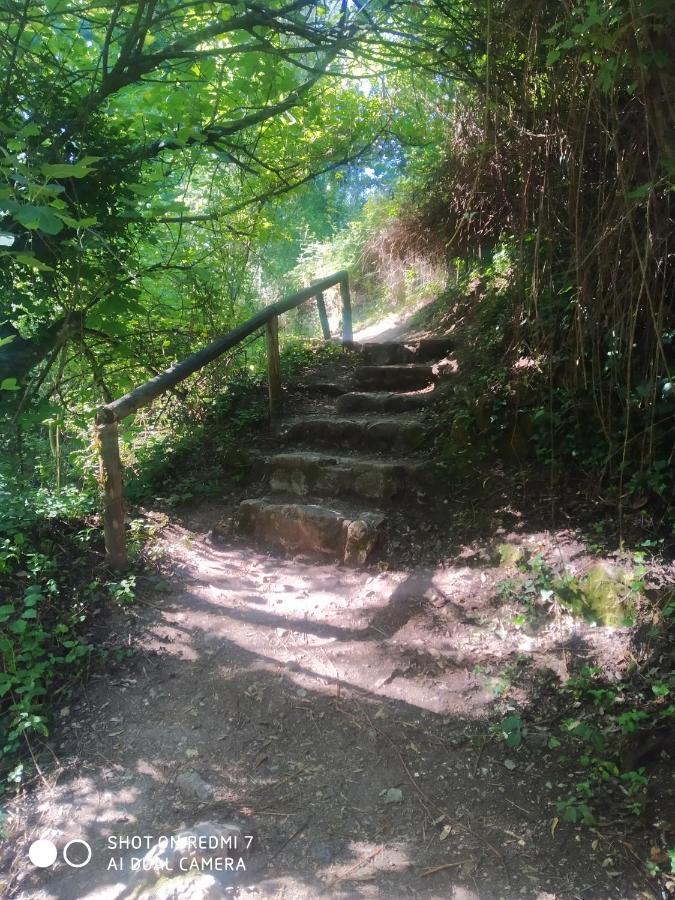 Alojamientos Sierra De Cadiz בנאמאהומה מראה חיצוני תמונה
