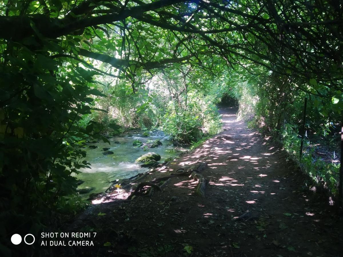 Alojamientos Sierra De Cadiz בנאמאהומה מראה חיצוני תמונה