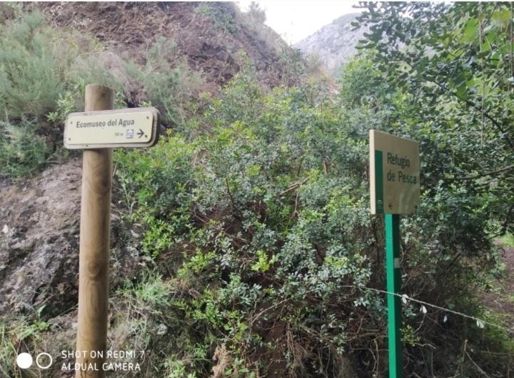 Alojamientos Sierra De Cadiz בנאמאהומה מראה חיצוני תמונה