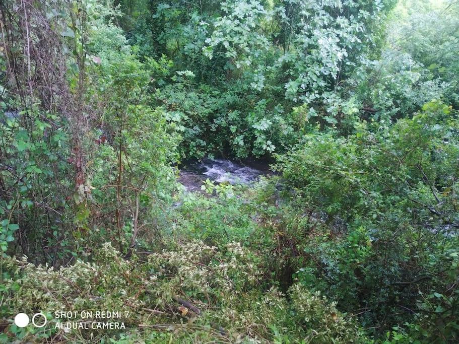Alojamientos Sierra De Cadiz בנאמאהומה מראה חיצוני תמונה