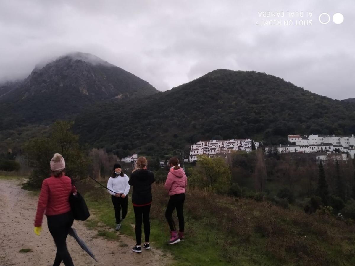 Alojamientos Sierra De Cadiz בנאמאהומה מראה חיצוני תמונה