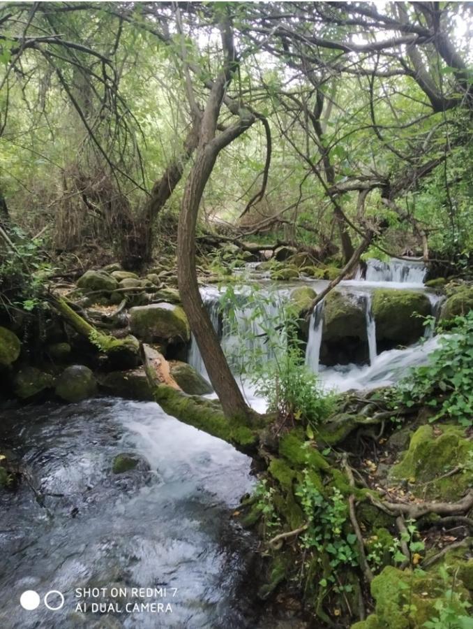Alojamientos Sierra De Cadiz בנאמאהומה מראה חיצוני תמונה
