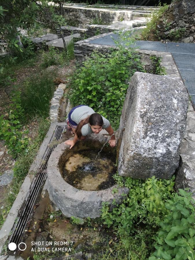 Alojamientos Sierra De Cadiz בנאמאהומה מראה חיצוני תמונה