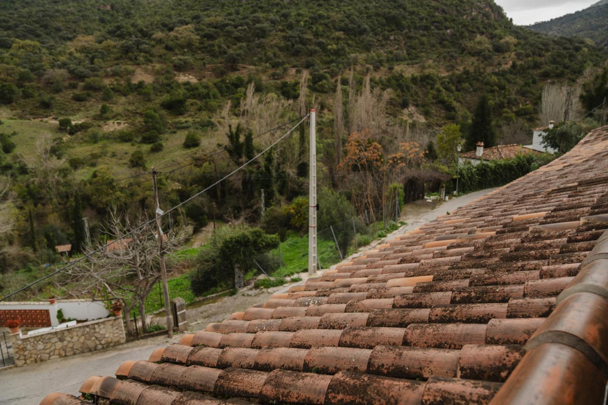 Alojamientos Sierra De Cadiz בנאמאהומה מראה חיצוני תמונה