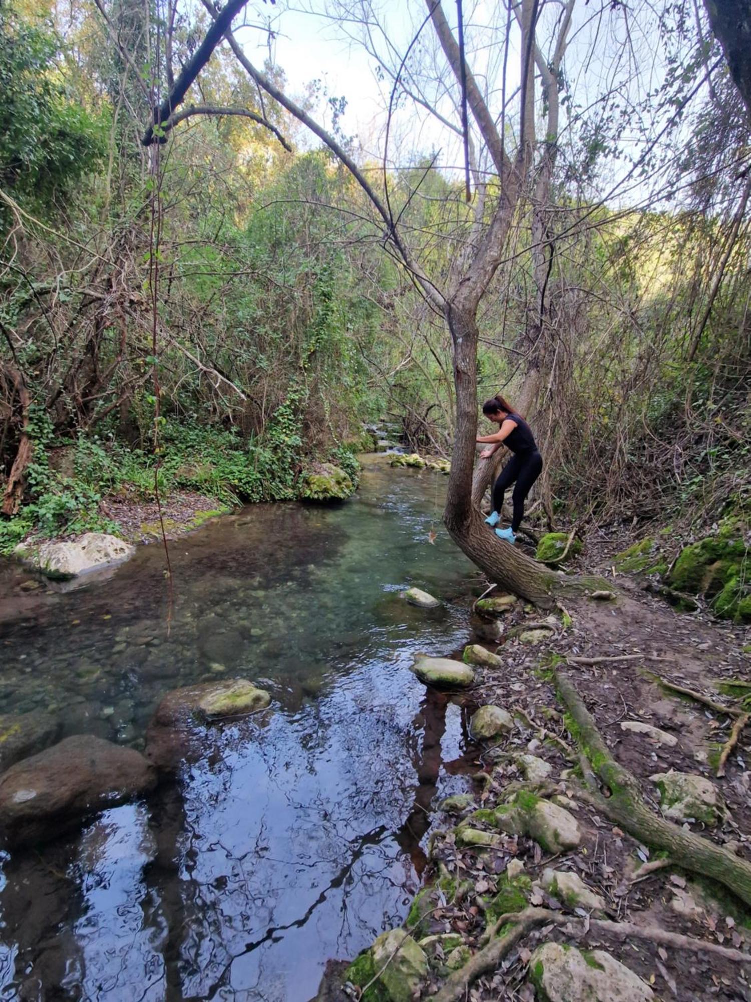 Alojamientos Sierra De Cadiz בנאמאהומה מראה חיצוני תמונה