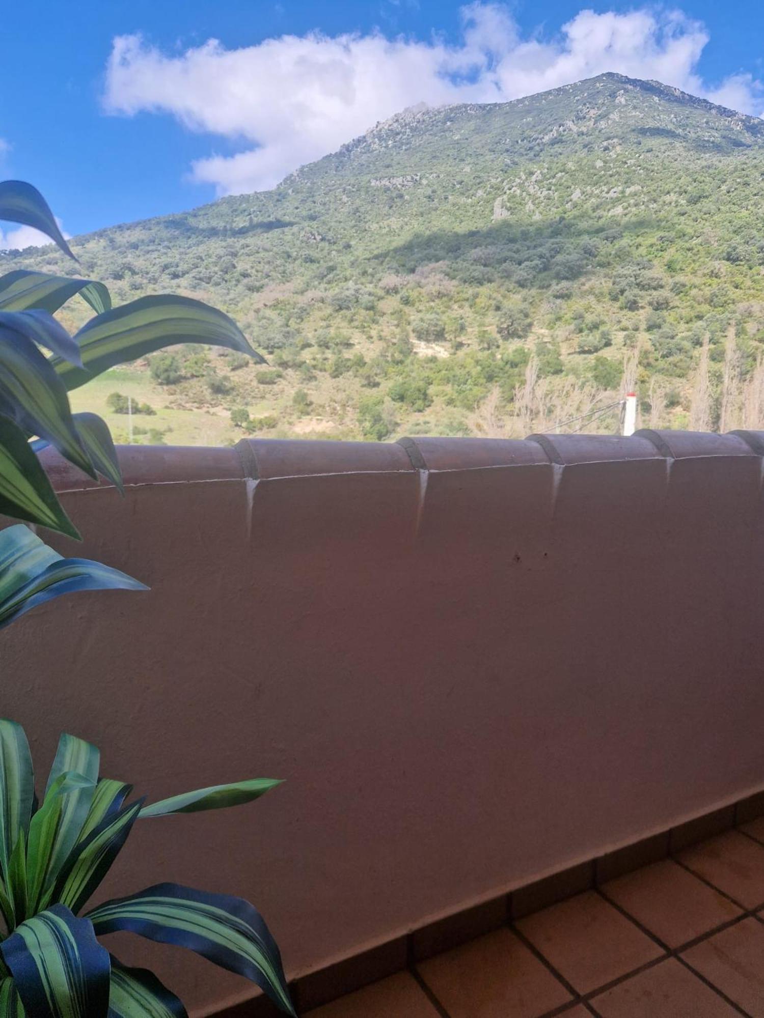 Alojamientos Sierra De Cadiz בנאמאהומה מראה חיצוני תמונה